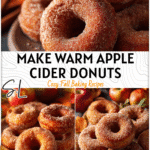 Plate of traditional apple cider fried donuts dusted with sugar surrounded by autumn leaves and apples